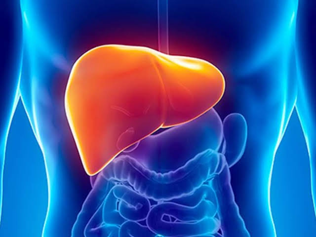 লিভারের চিকিৎসা লিভার