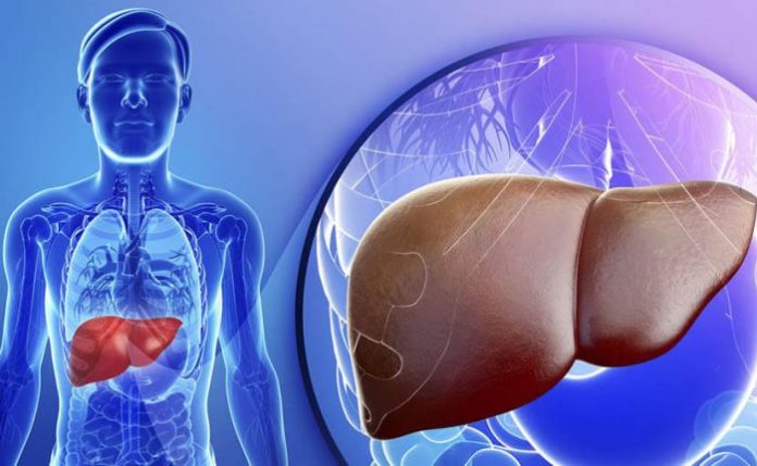 ফ্যাটি লিভার