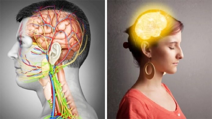 মস্তিষ্ক