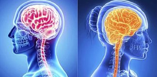 রাগলে কার মাথা বেশি গরম হয়, নারী না পুরুষের? মাথা