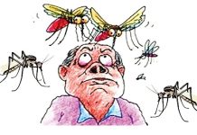 ডেঙ্গুর গ্রাম ভ্রমণ, সর্বোচ্চ ঝুঁকিতে ৬ কোটি মানুষ