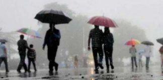 বর্ষায় ঘন ঘন অসুস্থ? যেসব খাবারে বাড়ে রোগ প্রতিরোধ ক্ষমতা