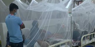 ডেঙ্গু: প্লাটিলেট কমলে আতঙ্ক নেই, নিতে হবে হাসপাতালে