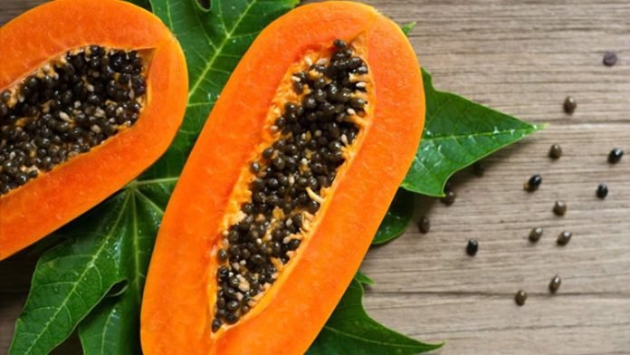 Dp-papaya