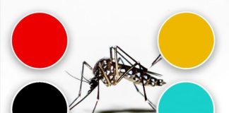 কোন রঙ মশাকে বেশি আকৃষ্ট করে?