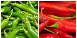 বেশি ঝালে কী স্মৃতিশক্তি লোপ পায়?