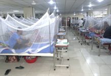 আরও ভয়ংকর ডেঙ্গু, মৃত্যু ৯০০ ছাড়াল