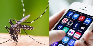 চালু হলো ‘ডেঙ্গু ড্রপস’ অ্যাপ, বাঁচবে রোগীদের জীবন