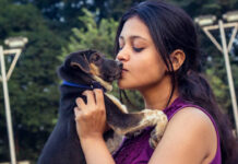 পোষা প্রাণীকে চুম্বন করা কতটা নিরাপদ?