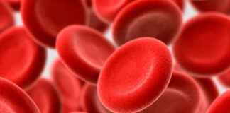 ৫ প্রাকৃতিক উপায়ে বাড়ান হিমোগ্লোবিন