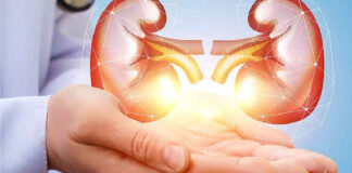 কিডনির জন্য ‘নীরব ঘাতক’ উচ্চ রক্তচাপ