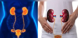 মূত্রনালির সংক্রমণ: লক্ষণ, কারণ ও প্রতিকার