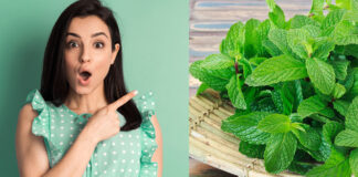 ব্রণ থেকে মুক্তিতে পুদিনা পাতার ব্যবহার