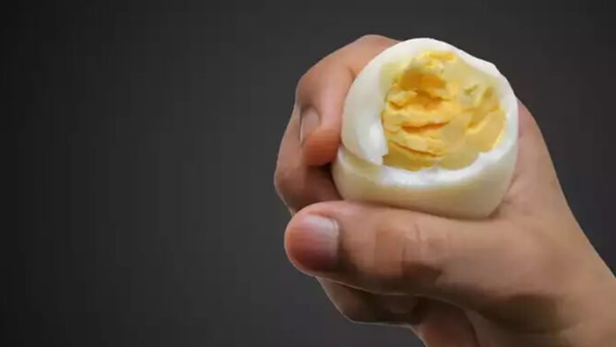 egg