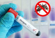 ডেঙ্গু আক্রান্ত হয়ে হাসপাতালে ভর্তি ৫০৬