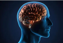 কিছু সাধারণ ভুল আপনার মস্তিষ্ক নষ্ট করে দিচ্ছে না তো?