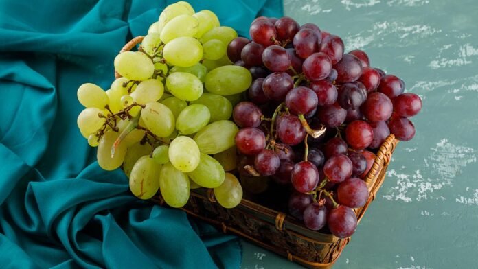 grape-1-