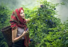 মানসিক চাপ? দূর করার সহজ একটি উপায় জেনে নিন