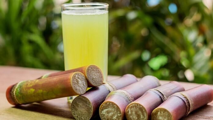 sugarcane-